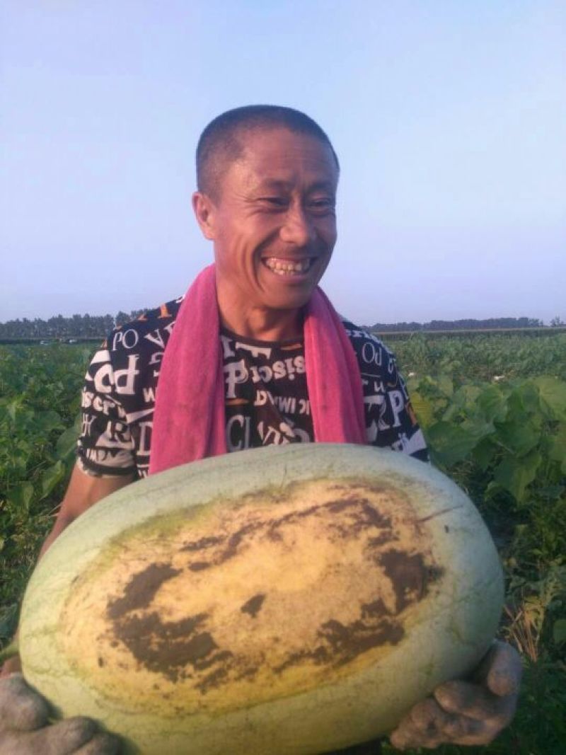 大西瓜