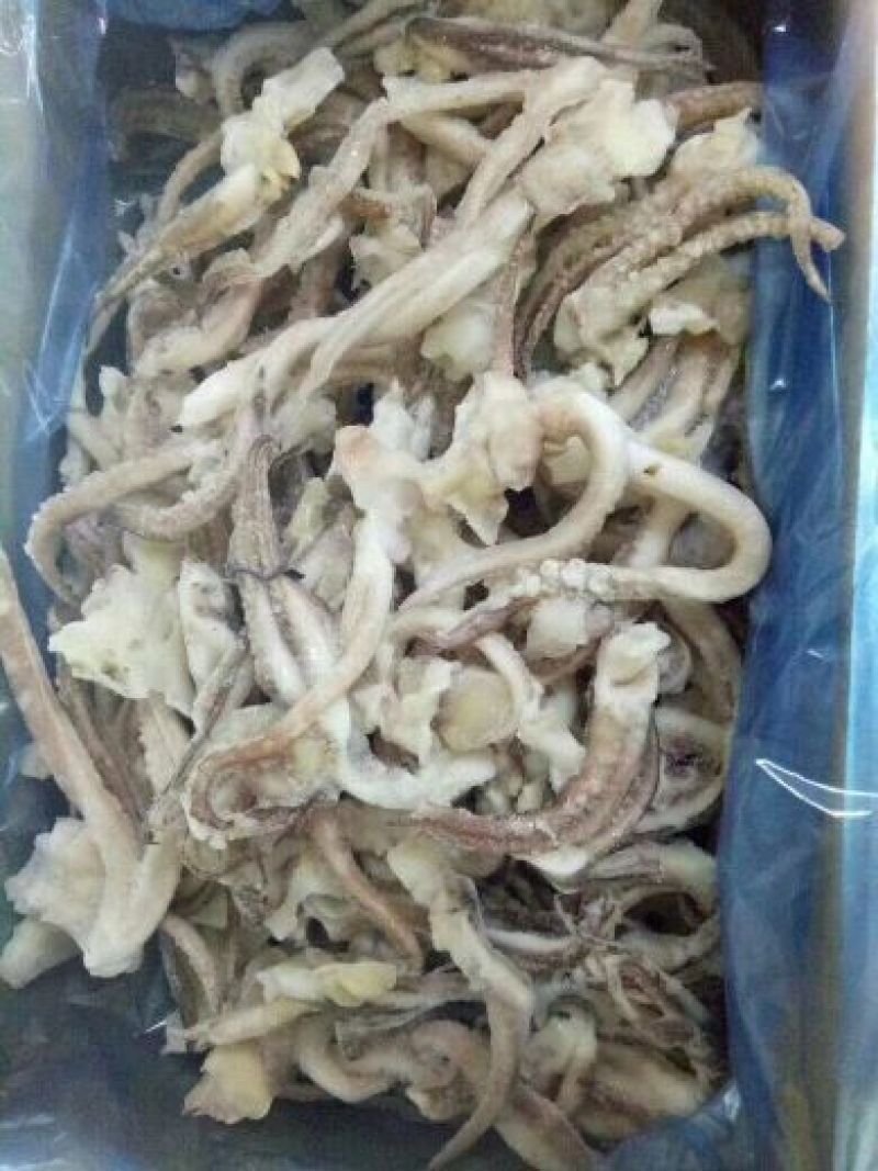 鱿鱼头