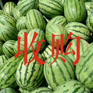 西瓜，土豆，辣椒