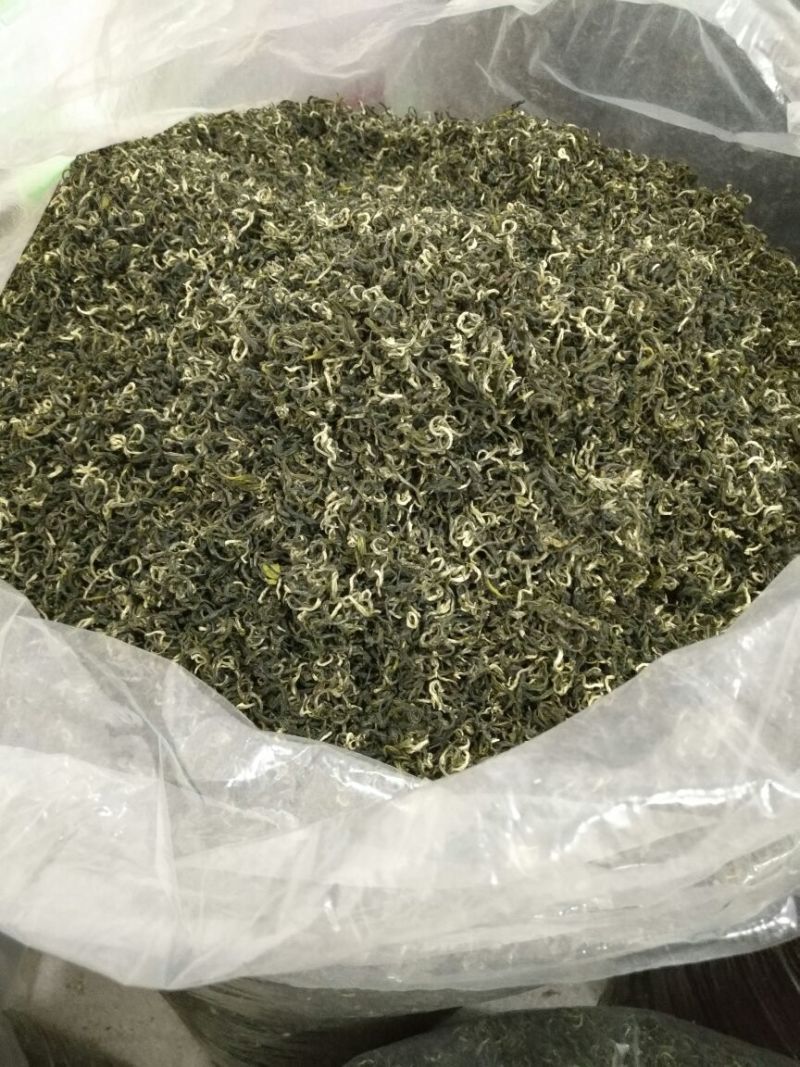 高山云雾白毛茶