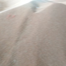 粮油