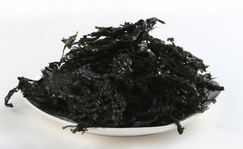 紫菜