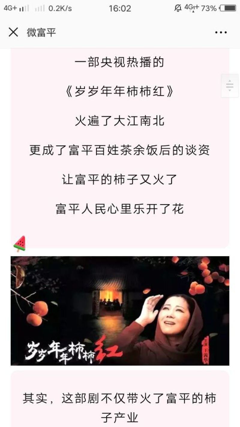 富平柿饼。，