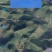 荒地