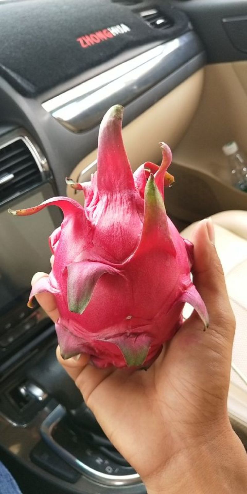 火龙果