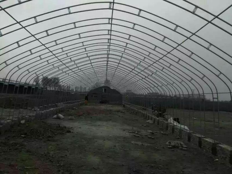 养殖大棚连栋大棚