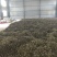 赤芍种子，量大从优，保证品质，一手货源，