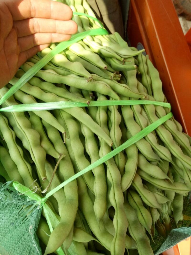 大青豆，烤烟夹