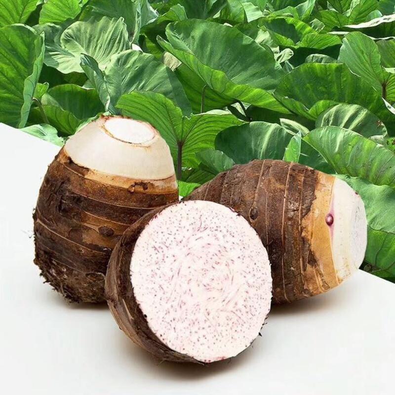 荔浦芋香芋全年有货，保质保量一件代发超市供应地标产品