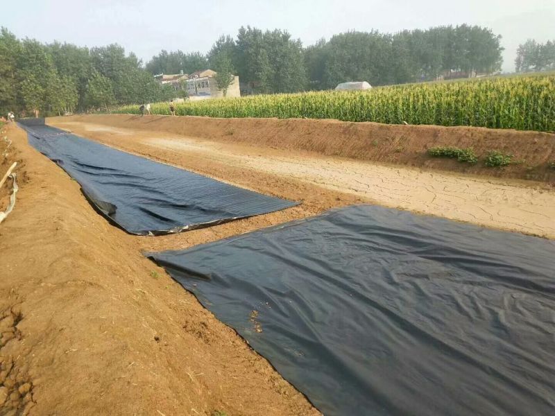 厂家直销土工膜，土工布，防草布格栅复合土工膜