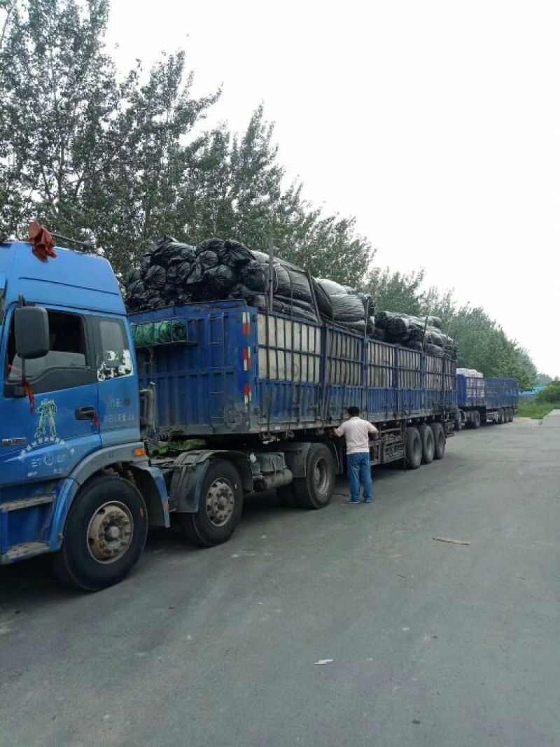 厂家直销土工膜，土工布，防草布格栅复合土工膜