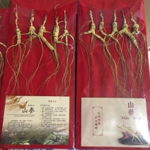 东北长白山野生人参长白山鲜人参野山参17年礼盒