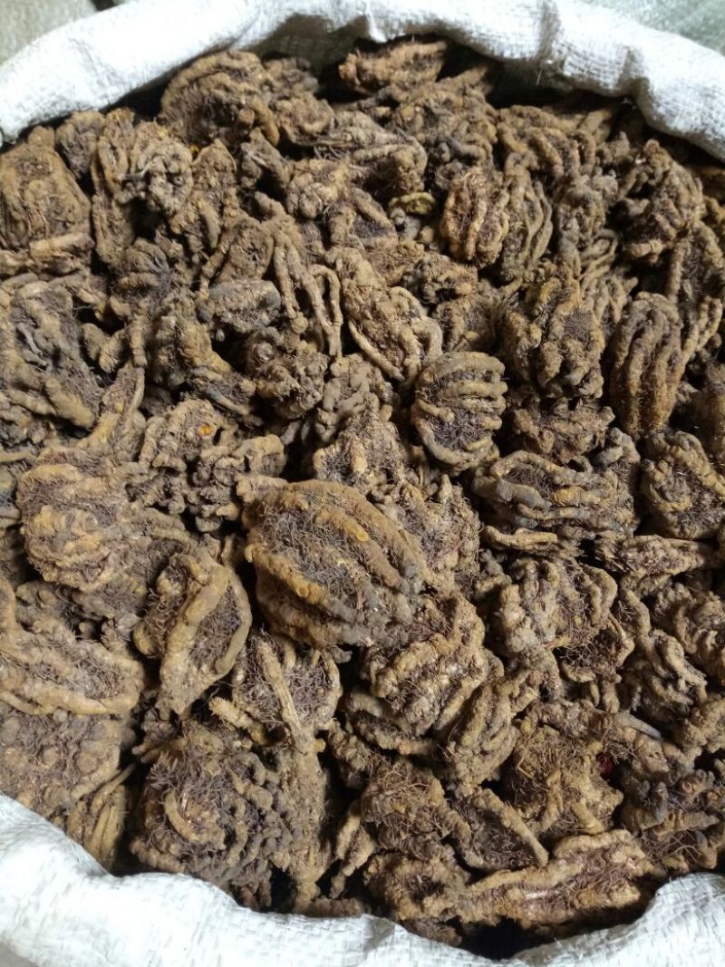 黄连各种规格四川干货新货无杂2斤起包邮