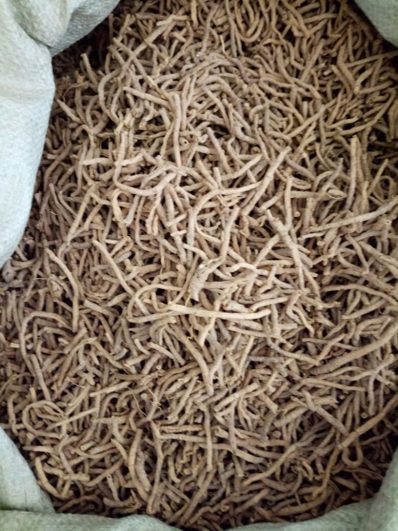 远志抽芯选货手选货干货2斤起包邮