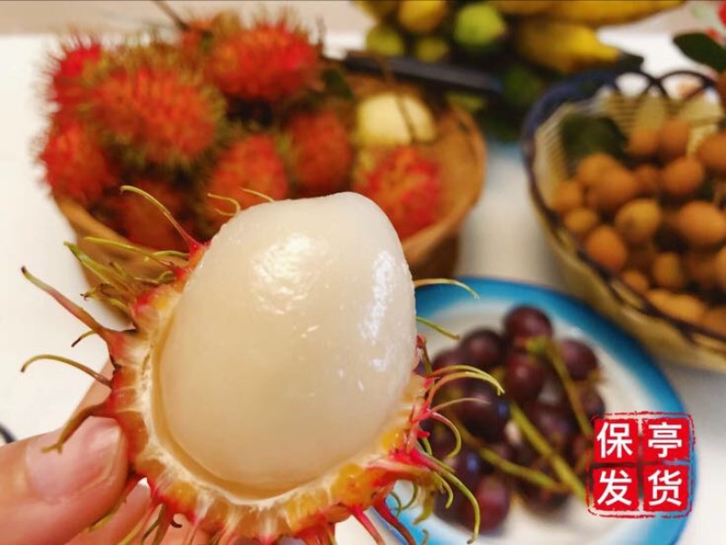 毛丹海南保亭7号红毛丹