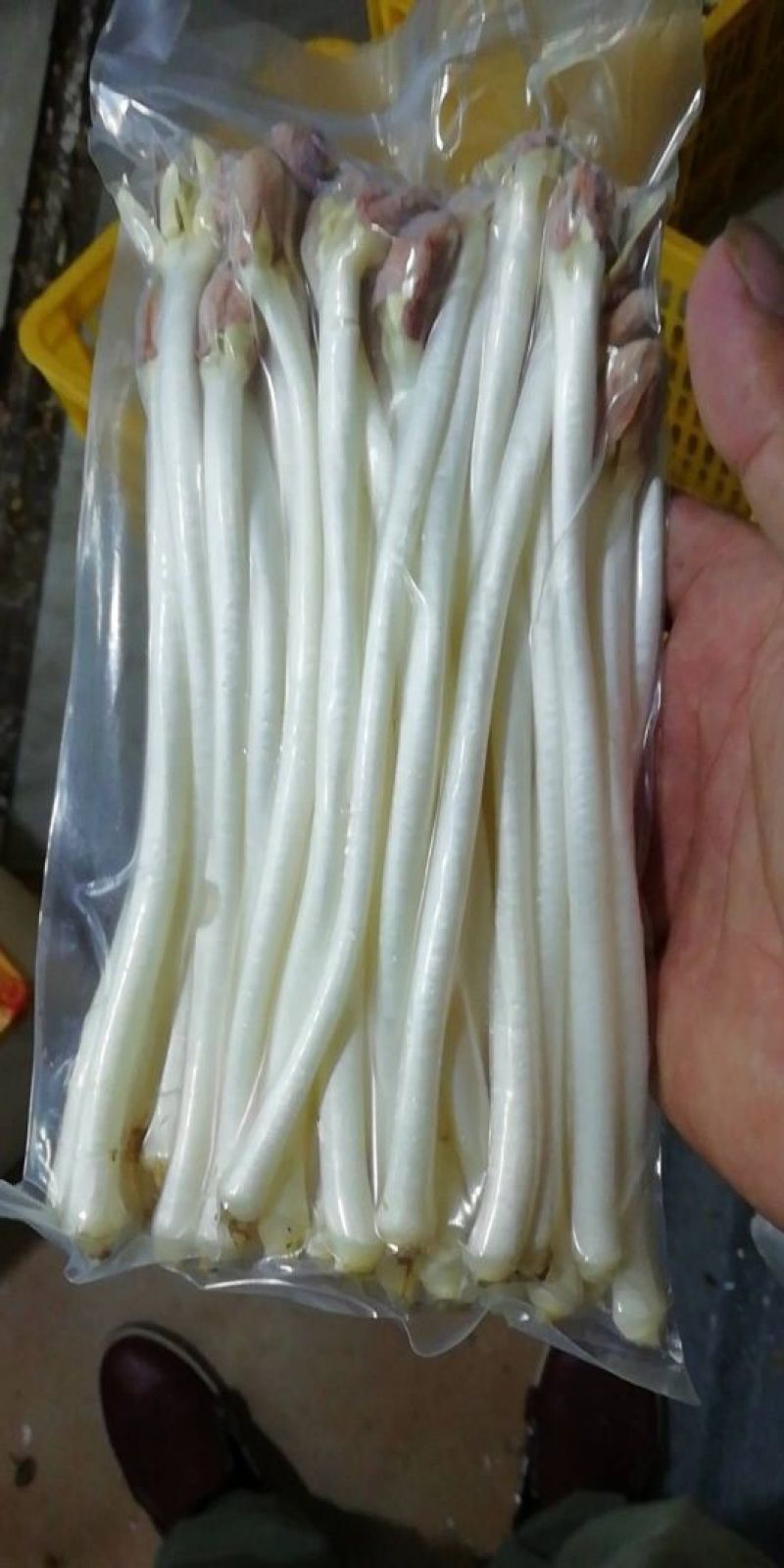 AAAA广东中山市惠众食品加工基地产地直供花生芽散装
