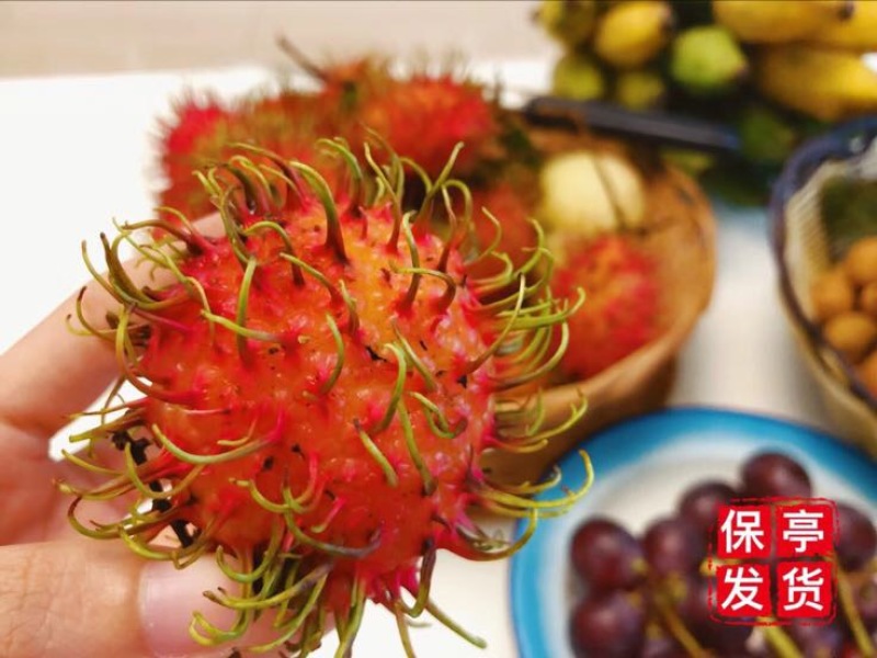 毛丹海南保亭7号红毛丹