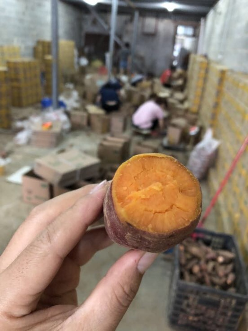 西瓜红小蜜薯9斤团购电商一件代发量大优惠