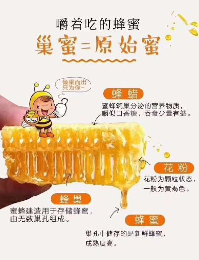 蜂巢蜜，最原始的蜂蜜