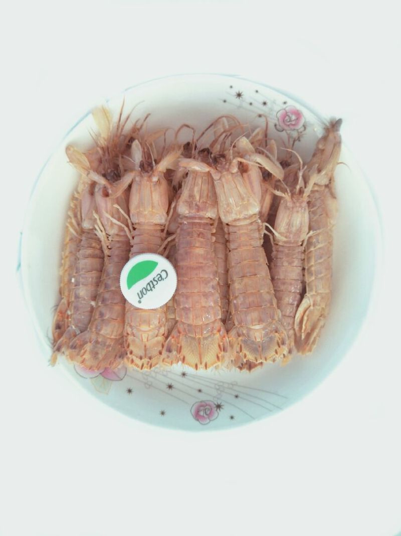 濑尿虾皮皮虾