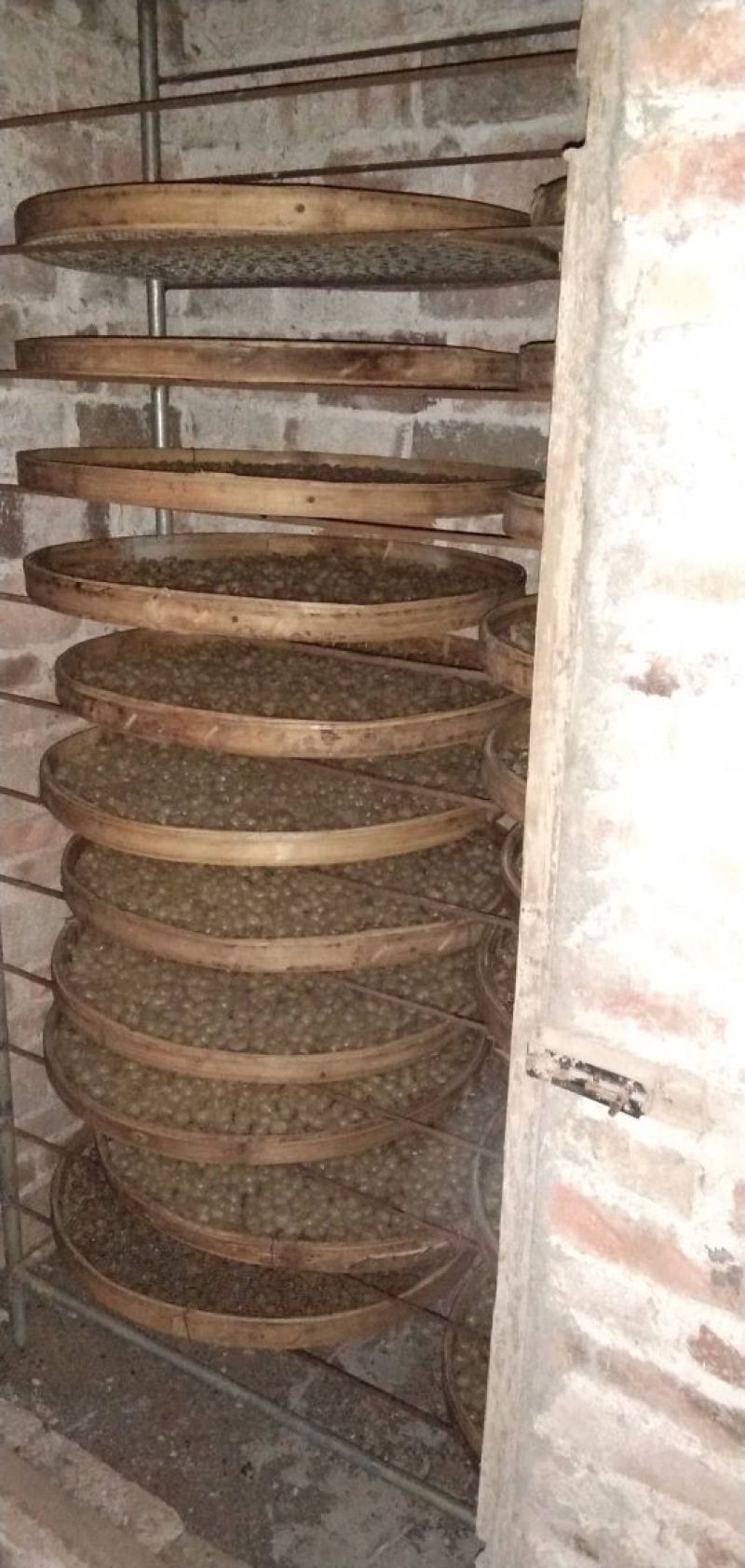 桂圆肉新品上市桂圆肉正宗石硖龙眼肉干无硫无糖不熏煤球