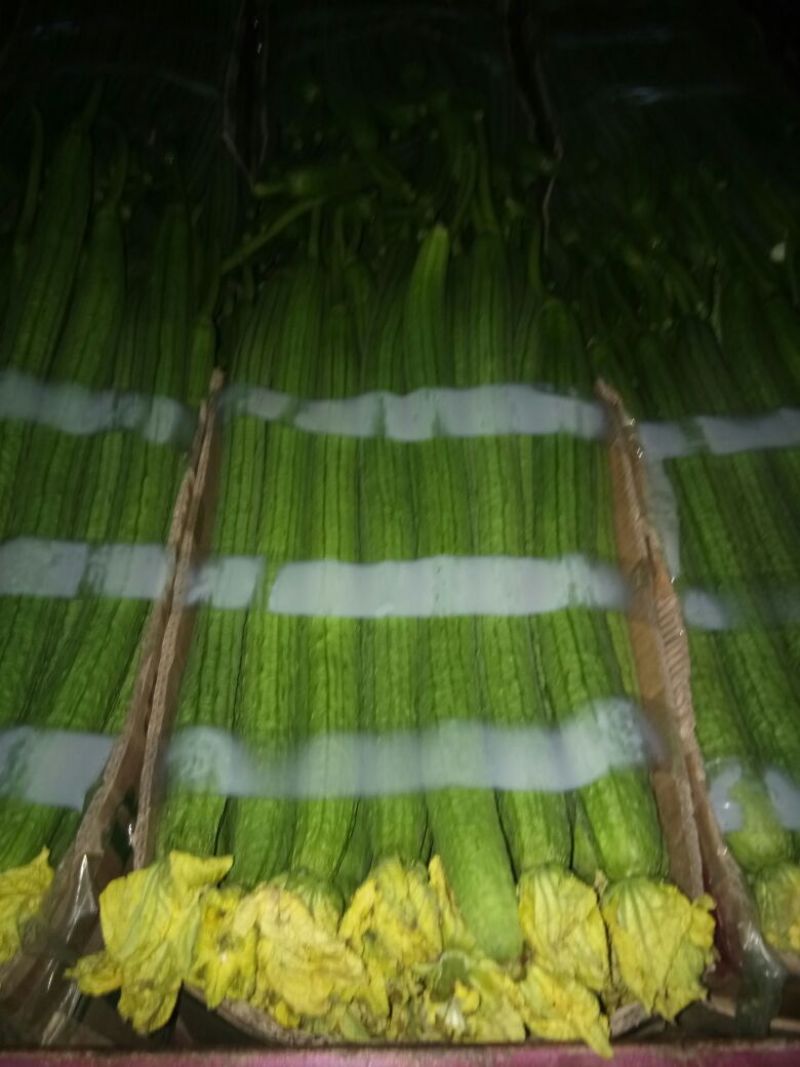 鲜花丝瓜