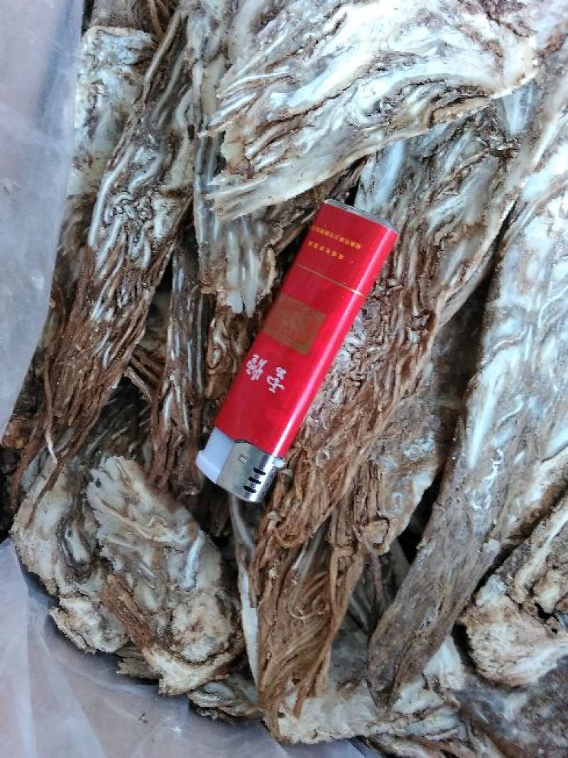 黄芪指甲片。
