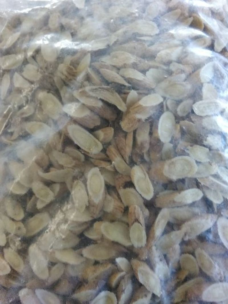 黄芪指甲片。