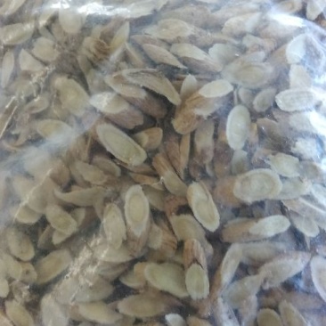 黄芪指甲片。