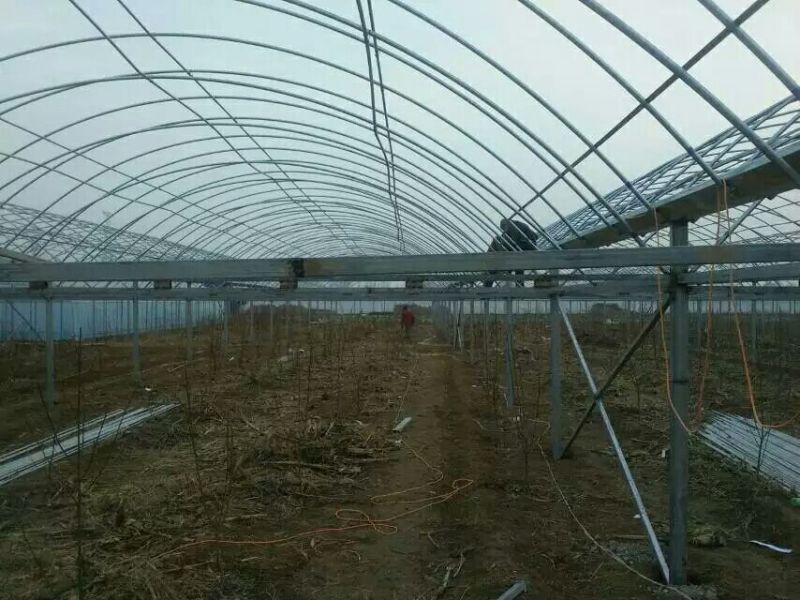 连栋温室大棚效果图