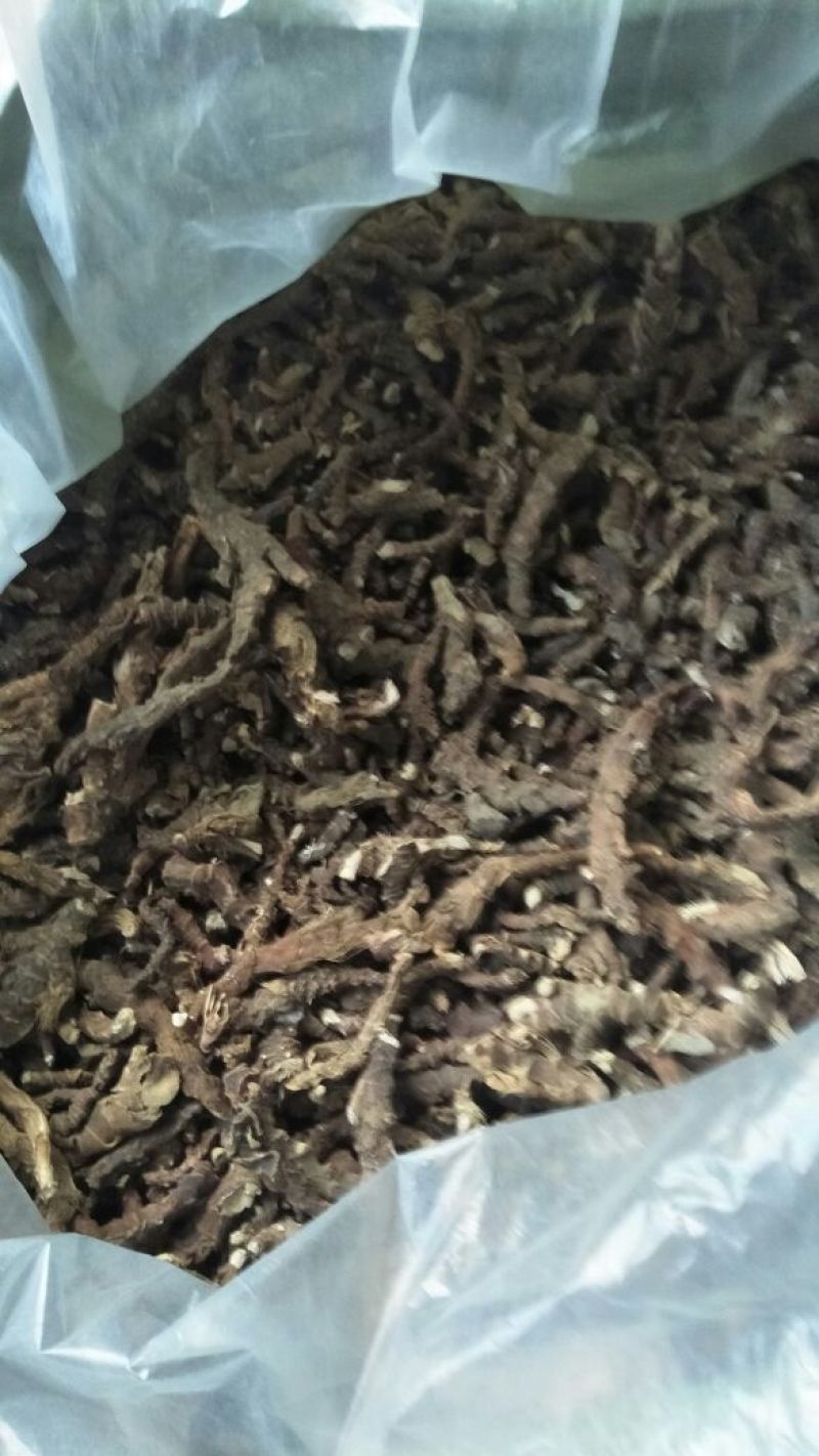 石菖蒲统条