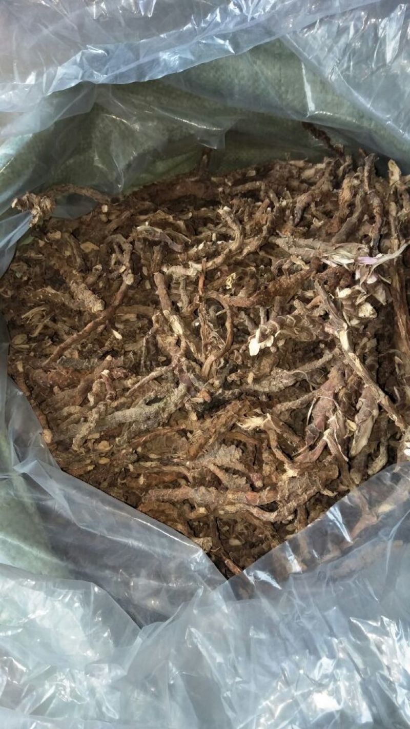 石菖蒲统条