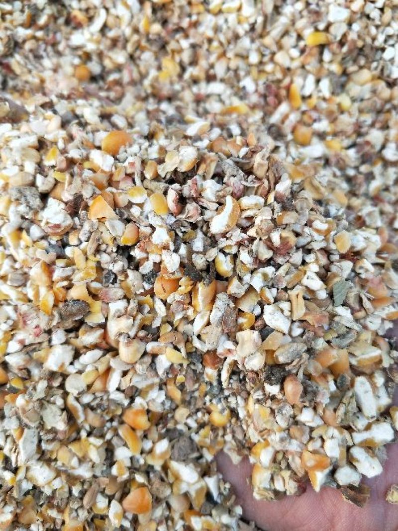 瘪麦，碎黄豆，碎玉米