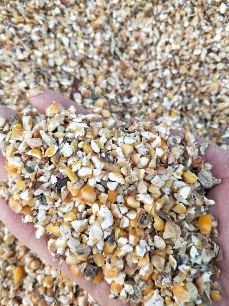 瘪麦，碎黄豆，碎玉米