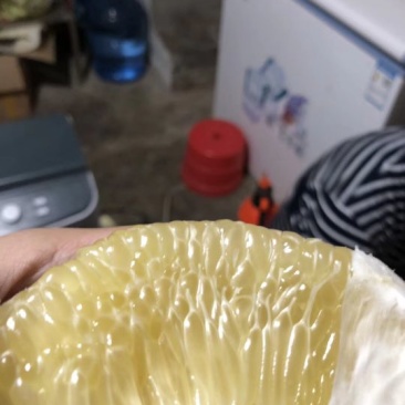 泰国安帕瓦蜜柚