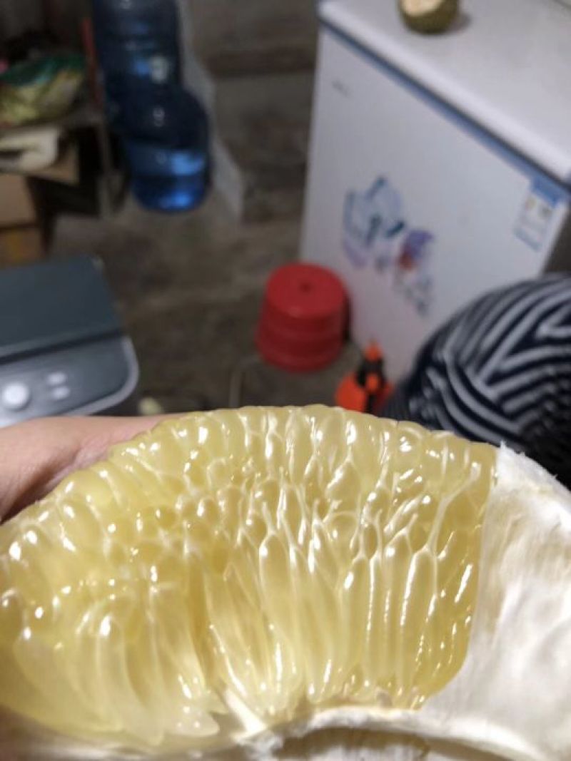 泰国安帕瓦蜜柚