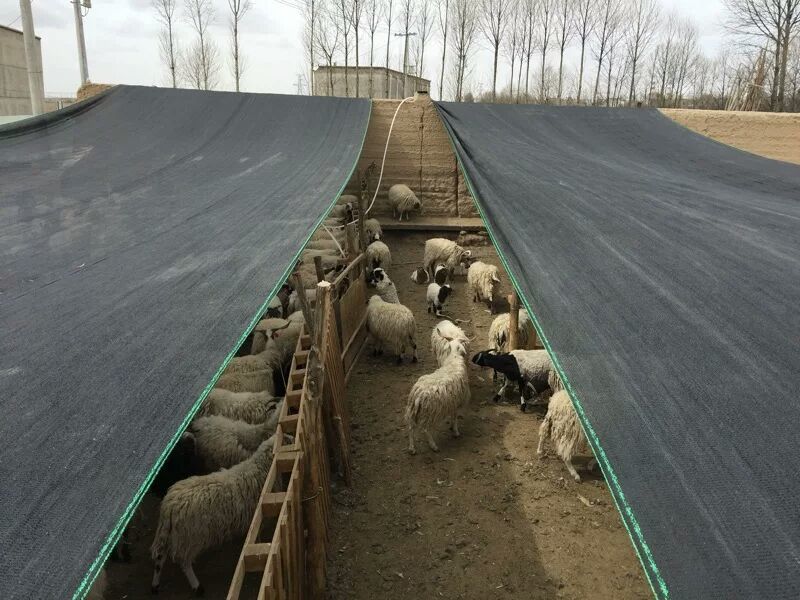 厂家直销遮阳网2针、3针、4针、6针、8针各种规格齐全！