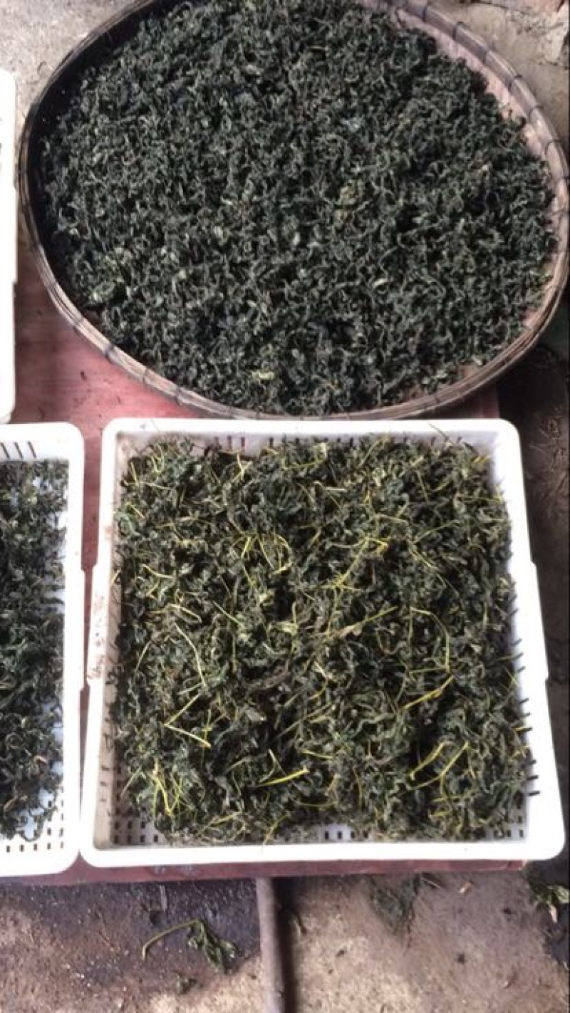 甜茶叶