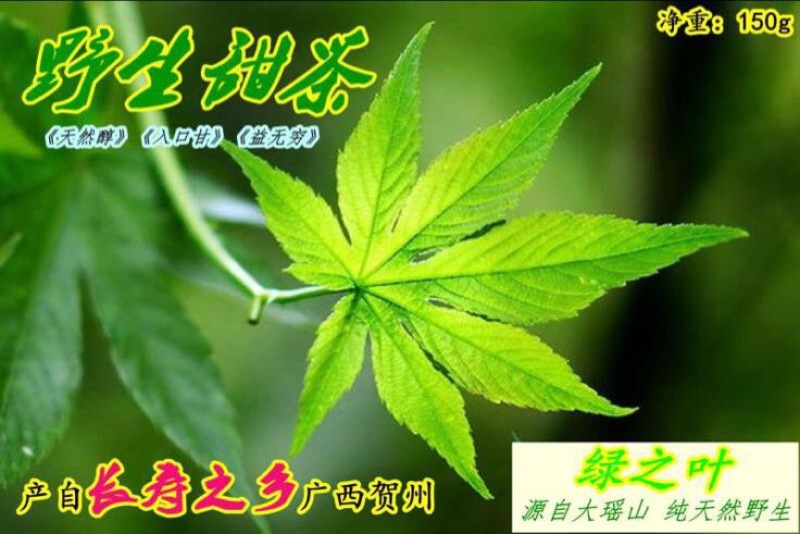 甜茶叶