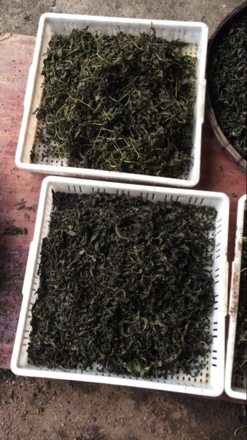 甜茶叶