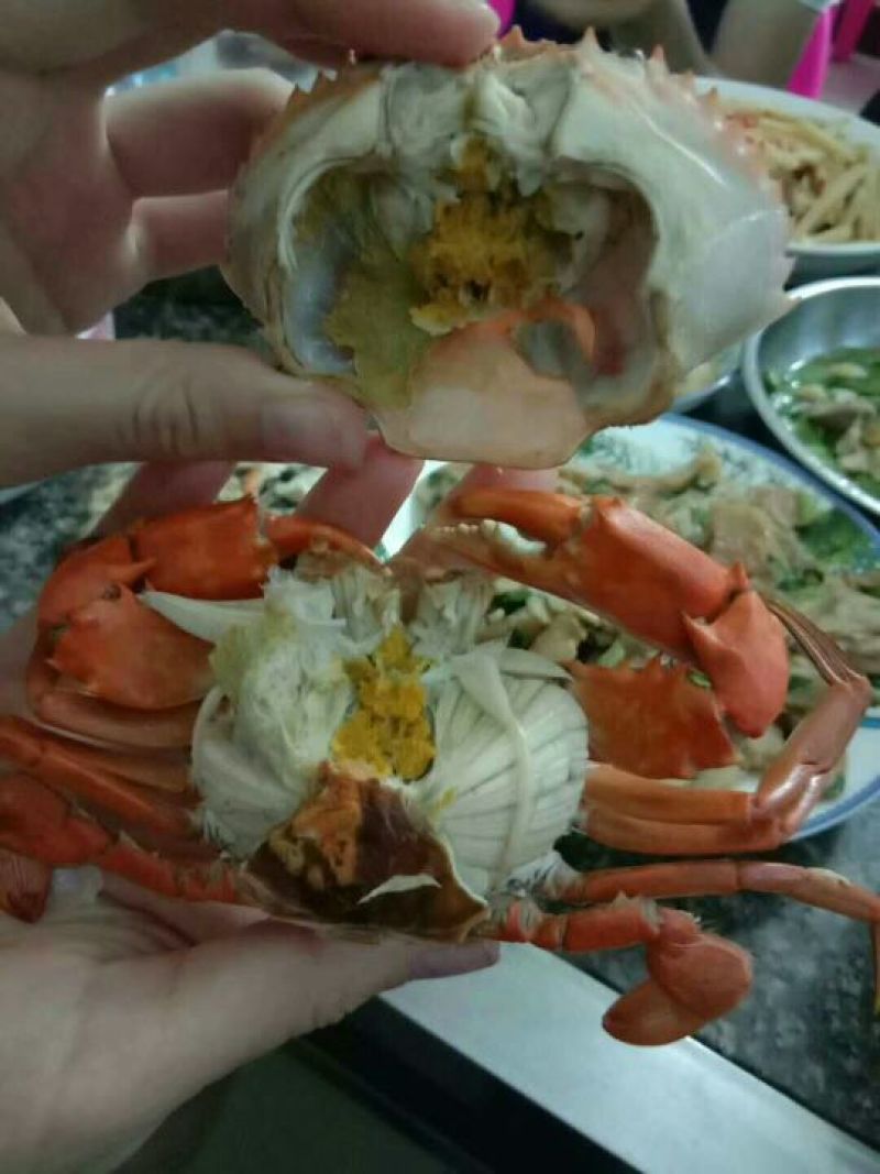 青蟹，肉蟹。