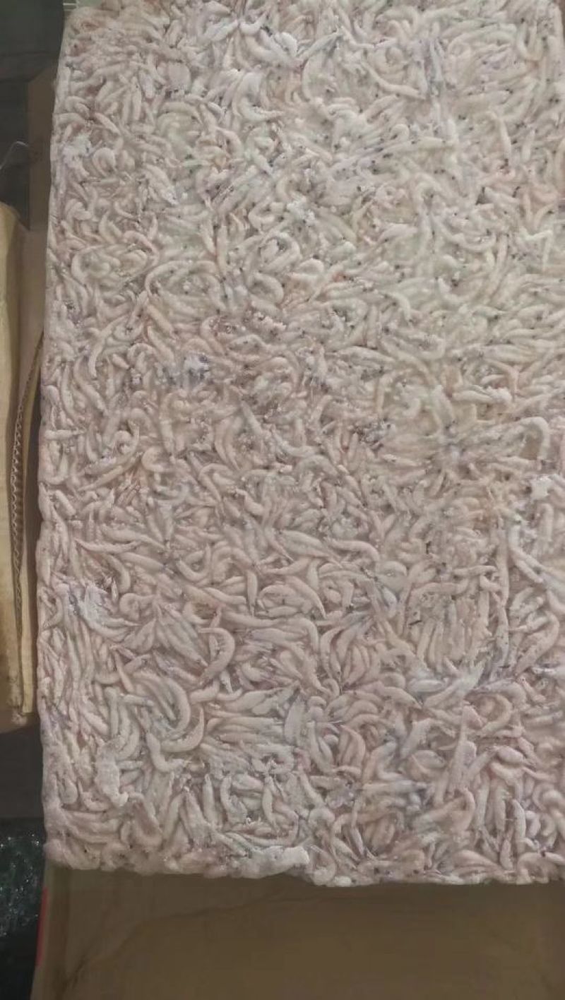 南极麟虾干