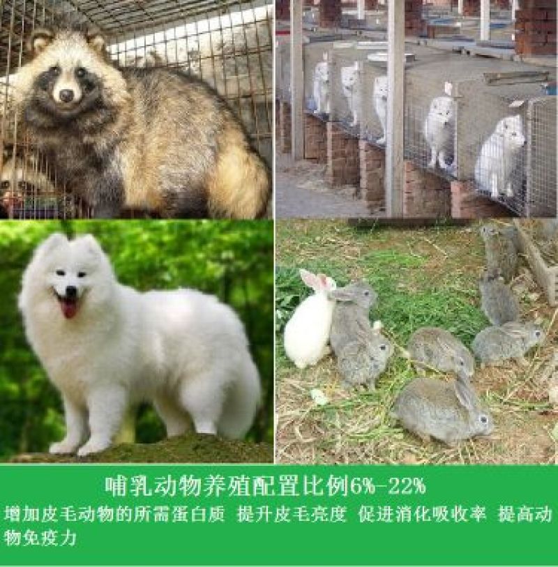 脱脂鱼粉