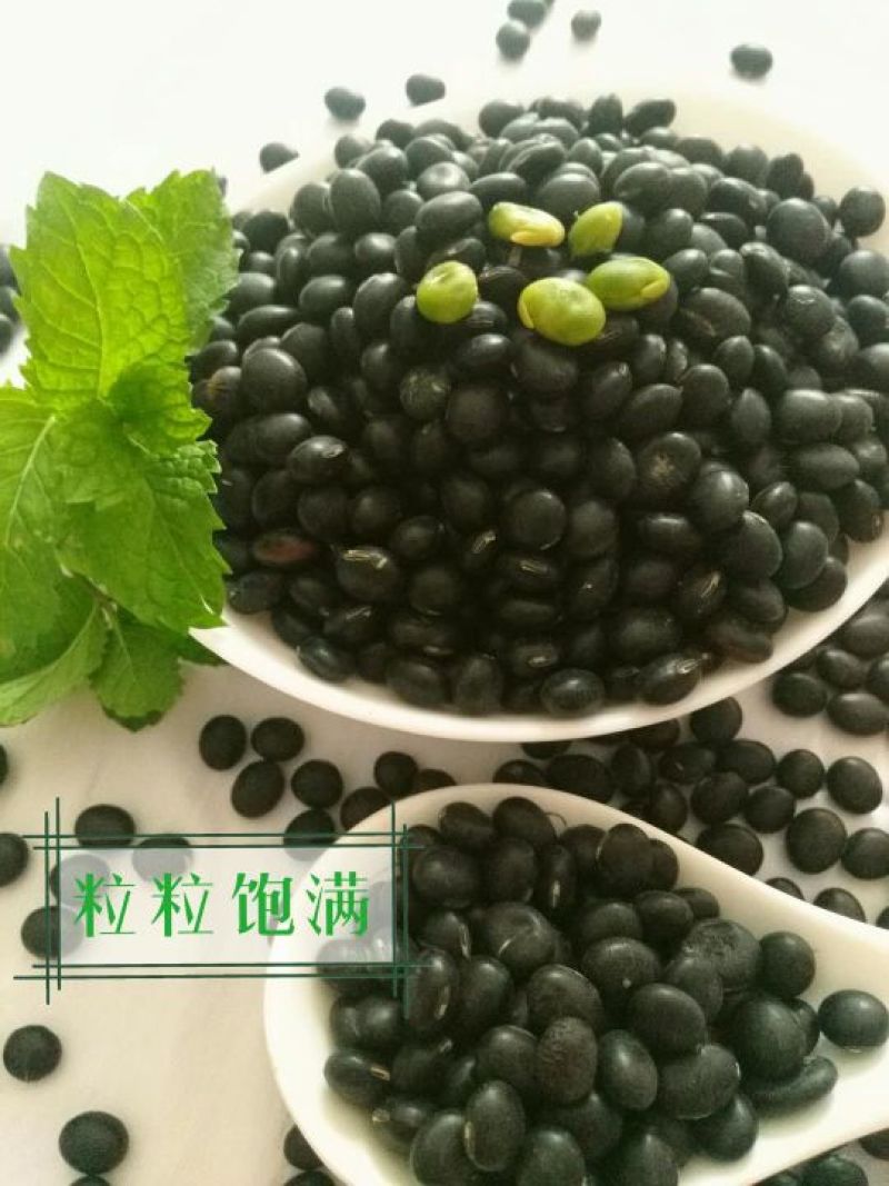黑豆青仁乌豆