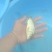 红鲤苗