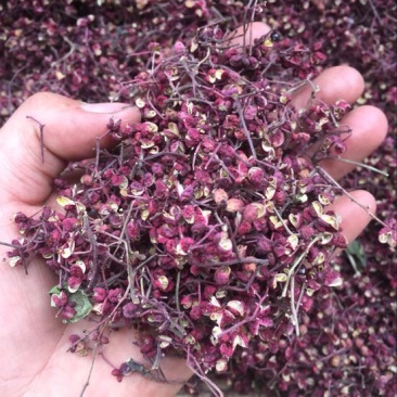 大红袍花椒特级干