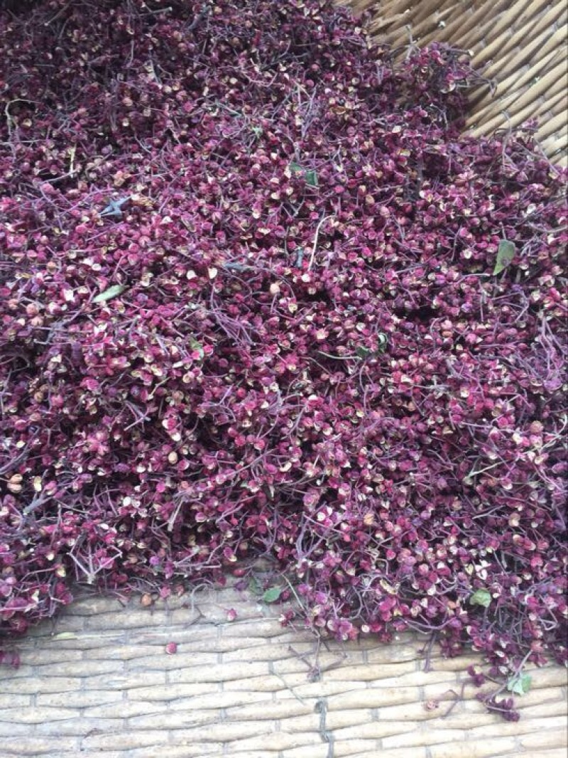 大红袍花椒特级干