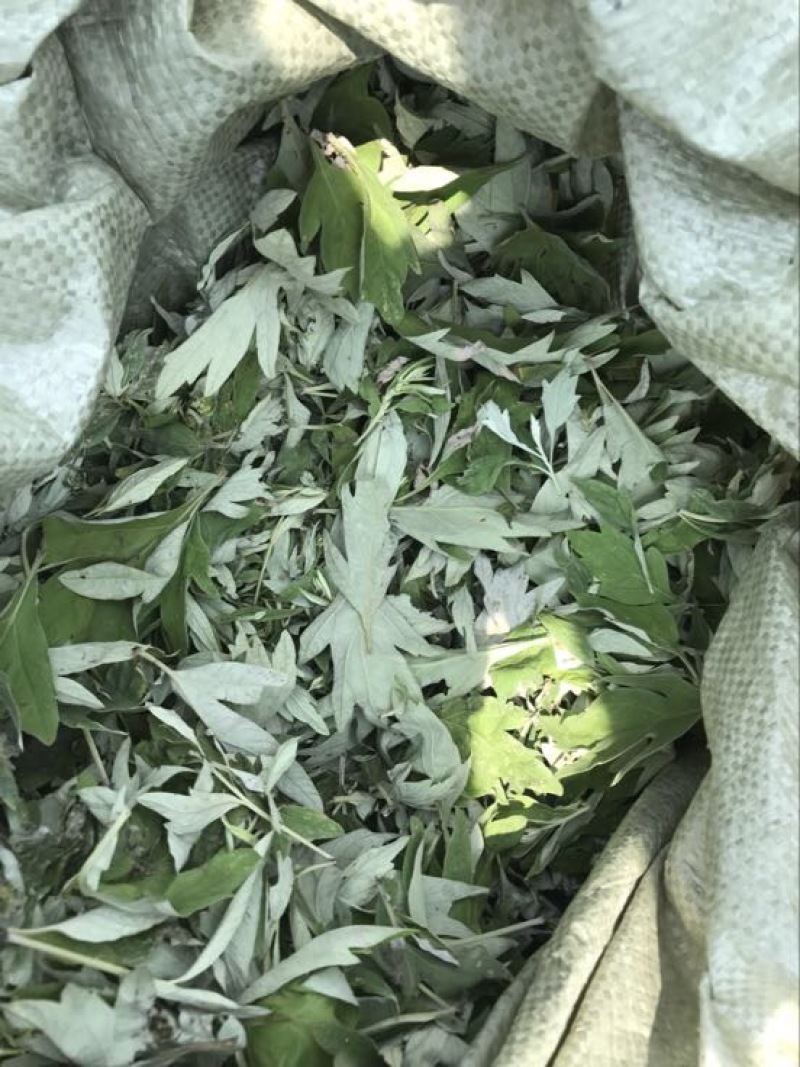 艾绒蕲艾绒正宗蕲艾发源地出产，高品质蕲艾绒