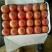 【实力老店】硬粉西红柿精品弧三以上通货规格齐全
