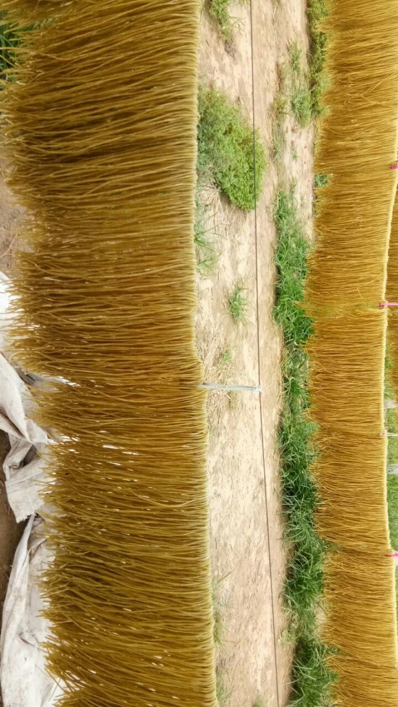 酸辣粉大量现货红薯粉条酸辣粉粗粉细粉粉丝